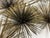 Late 20th Century Curtis Jere Vintage Brass Sea Urchin/Dandelion Wall Sculpture For Sale - Image 5 of 13