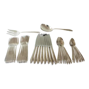 1957 Springtime 5 Piece Place Setting for 8 Matching Floral Set Plus Vintage Rogers 42 Pieces
