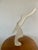 Mid-Century Lucite Ram’s Head Sculpture For Sale In South Bend - Image 6 of 13
