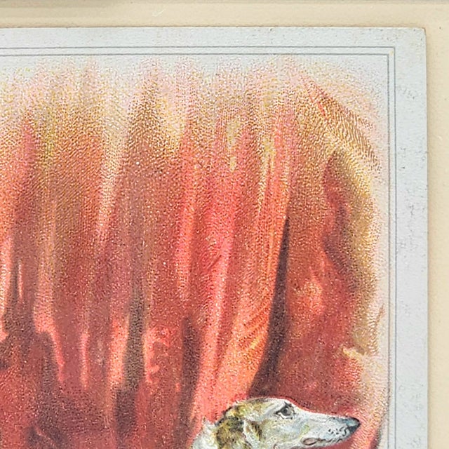 Victorian Chromolithograph of Russian Wolfhound, c.1890s For Sale - Image 9 of 11