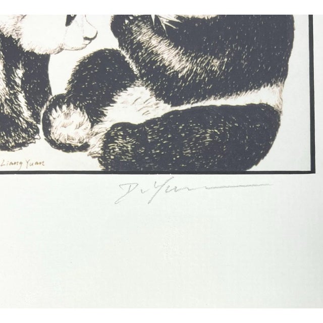 2000 - 2009 Dong Liang Yuan Set of 4 Framed & Matted Small Signed “Panda” Prints For Sale - Image 5 of 16
