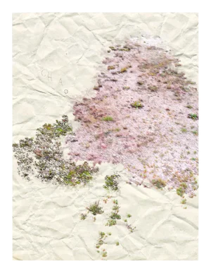 Gianfranco Pezzot "I. Anthropological Purity", Photograph