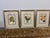 Yellow Botanical Art Prints, Set of Three For Sale - Image 12 of 12