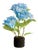Hydrangea Drop-In 18" For Sale