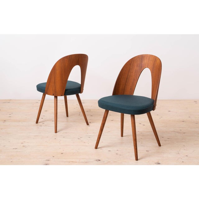 1960s Mid-Century Modern Dining Chairs by A. Šuman, 1960s, Set of 14 For Sale - Image 5 of 18