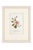 Early 20th Century Set of Four Antique Alpine Botanical Chromolithographs in Custom Frames Circa 1909 Set B For Sale - Image 5 of 6