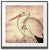 Vintage Crackled Stork Archival Print For Sale - Image 4 of 4