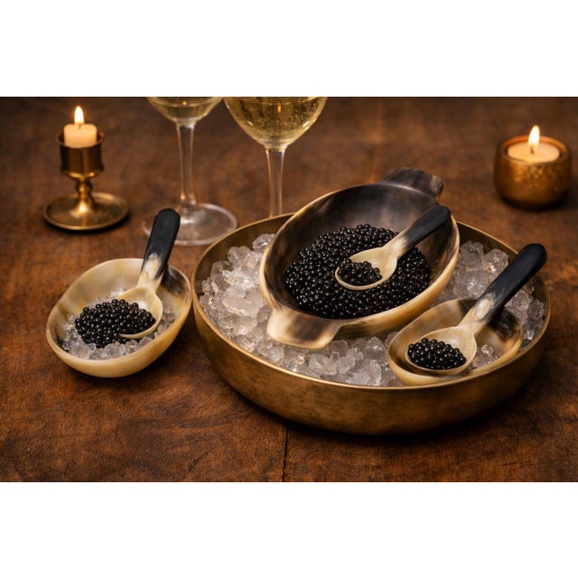 English Vintage Hand Carved Horn Caviar Serving Dishes - Set of 5 Pcs. For Coastal, Natural, British Colonial & Palm Beach Regency Entertaining. See Pics! For Sale - Image 3 of 9