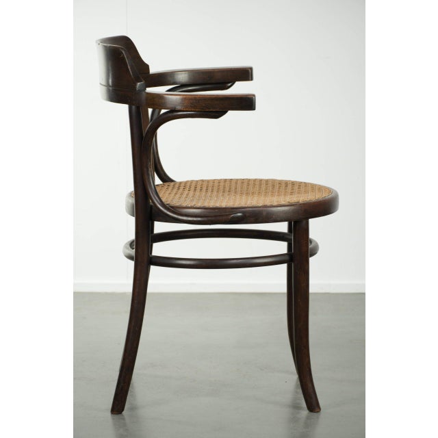 Vintage Webbing Armchair in Curved Wood For Sale - Image 3 of 13