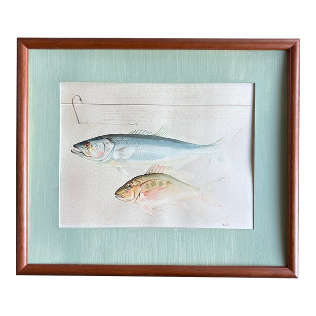 Midcentury Fish Watercolor, Signed, Matted and Framed For Sale