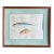 Midcentury Fish Watercolor, Signed, Matted and Framed For Sale