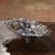 19th Century French Silver Plated Bread Basket With Vine Decor For Sale - Image 4 of 13