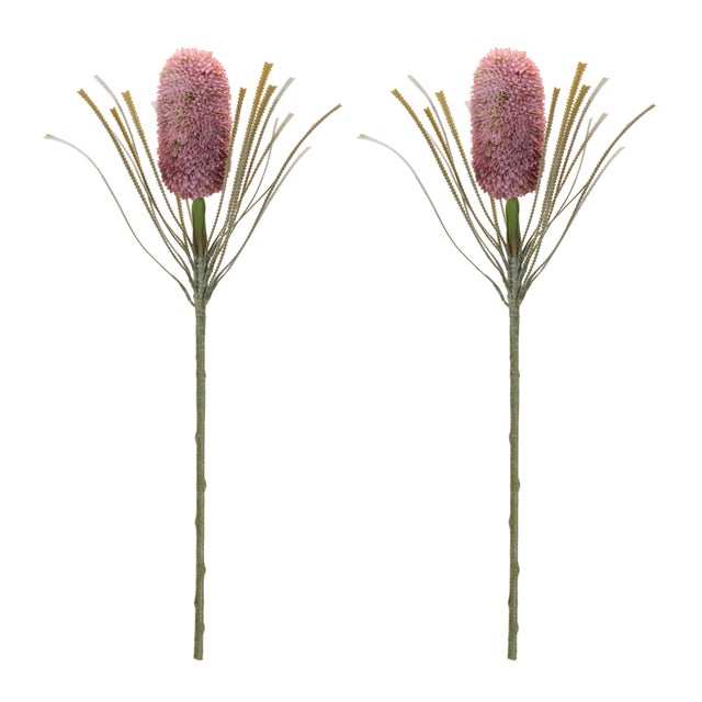 Add a touch of exotic elegance to your space with this Protea Floral Stem Set. Featuring soft pink protea blooms and rich...
