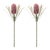 Add a touch of exotic elegance to your space with this Protea Floral Stem Set. Featuring soft pink protea blooms and rich...