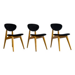 Vintage GFM 22 Chairs by J. Kędziorek, Poland, 1960s, Set of 3 For Sale