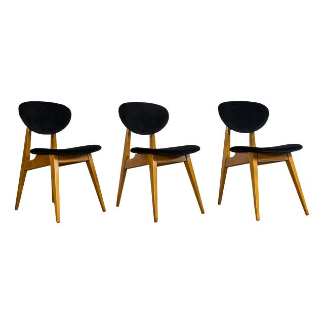 Vintage GFM 22 Chairs by J. Kędziorek, Poland, 1960s, Set of 3 For Sale