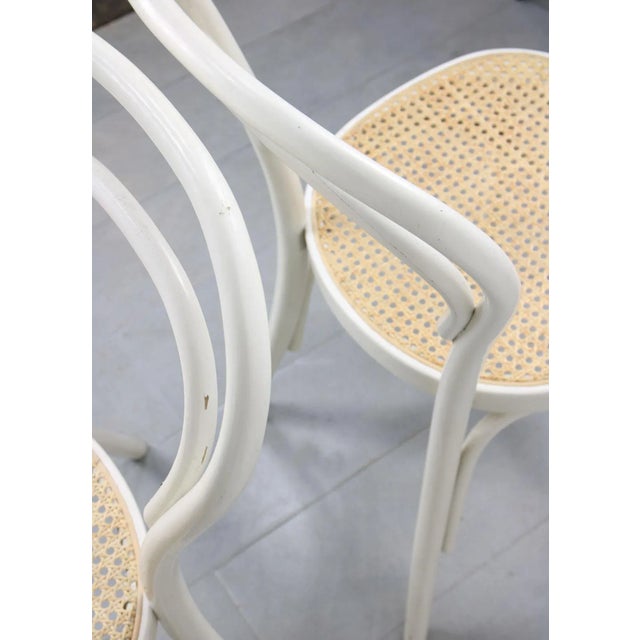 No. 214 Chairs, Set of 4 For Sale - Image 11 of 13