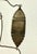 Silver Unknown, 19th C Antique Silver Sephardic Judaica Kabbalah Birth Amulet Hebrew Inscription For Sale - Image 8 of 12