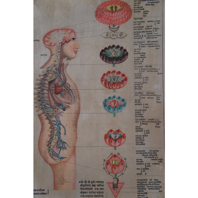Antique Indian Kundalini Hindu Sanskrit Chakras Anatomical Triptych ...