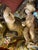 Our Lady Statue in Chestwood For Sale - Image 14 of 18