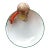 1970s Rare Vintage Italian Hand-Made Coastal Seafood Serving Bowl, Lobster & Shell Motif For Sale