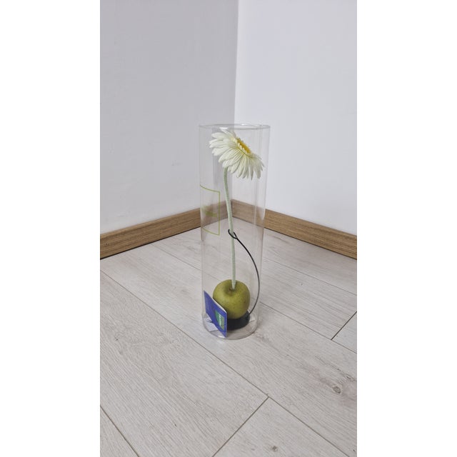 Eva Mono Fiore Flower Vase by Claudia Hamers for Oggetti Latini, 1990s For Sale - Image 6 of 16