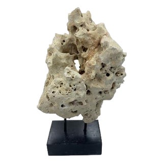 Indonesian Coral Stone On Teak Stand For Sale