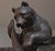 19th Century Black Forest Bear Hall Stand, 1880s For Sale - Image 13 of 18
