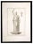 Pietro Campana, Ancient Roman Statue, Original Etching, 18th Century For Sale