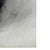 Paper Mid 20th Century Charcoal Drawing by Donna Foreman Hopper For Sale - Image 7 of 9