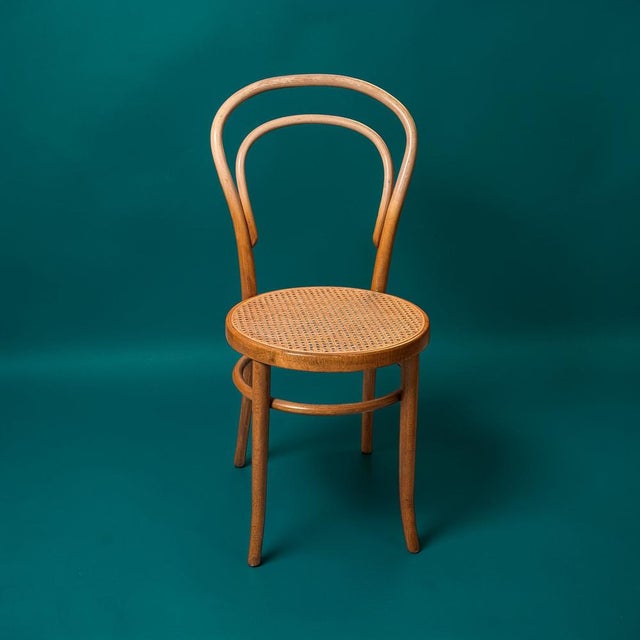 Wood Late 19th Century Bentwood Model No.14 Bistro Chair from Michael Thonet, Austria For Sale - Image 7 of 7
