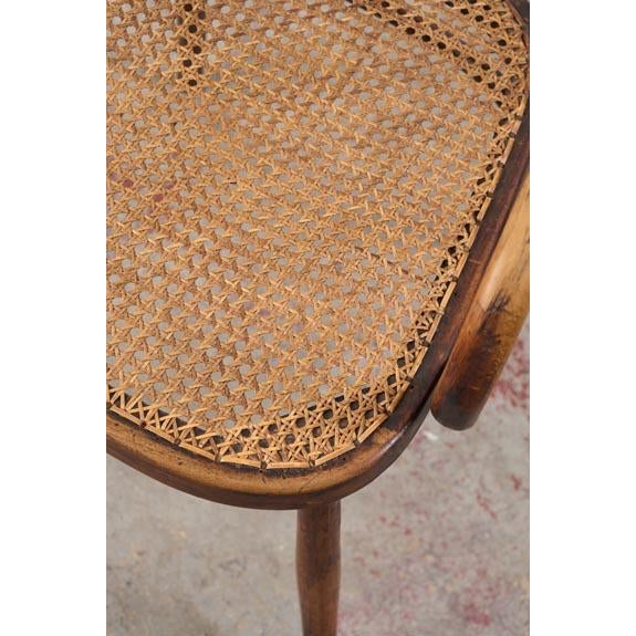Antique Edwardian Bentwood Occasional Chair With Hand Tied Cane Seat For Sale - Image 11 of 11