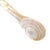 Late 20th Century Mother of Pearl Abalone and Seashell Handles Caviar Condiment Spoons- Set of 5 For Sale In Austin - Image 6 of 10