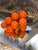 1960s Mid-Century Modern Bright Orange Lucite Grape Cluster" For Sale In Miami - Image 6 of 8