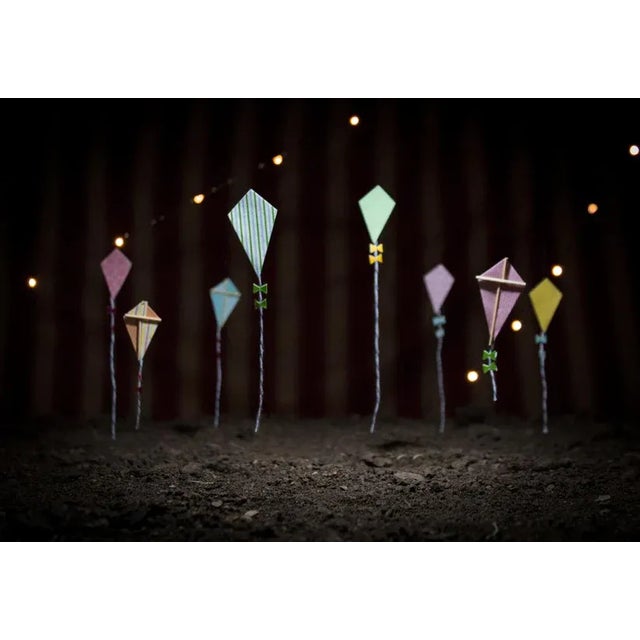 Handmade kites for a series I created to shed some light on the true meaning of entertainment in a circus with a notion of...