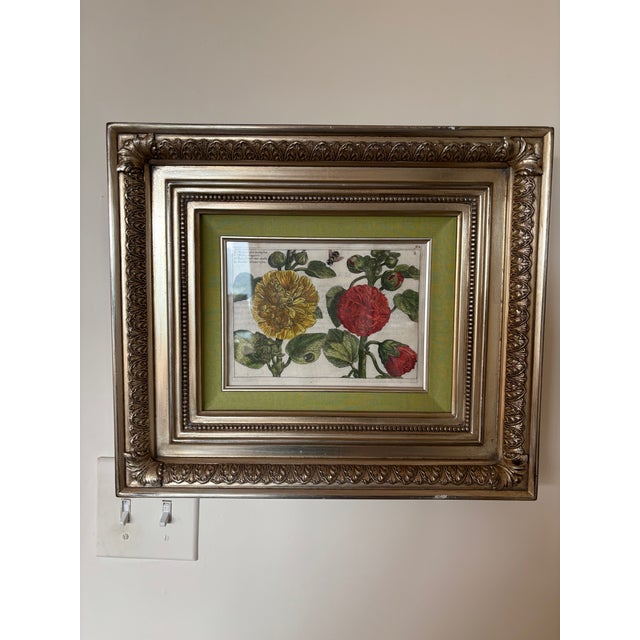 Antique Italian/European Botanical Engraving-Plate 8:Malva Magiore ( Hollyhock-Tree Mallow) For Sale - Image 4 of 6