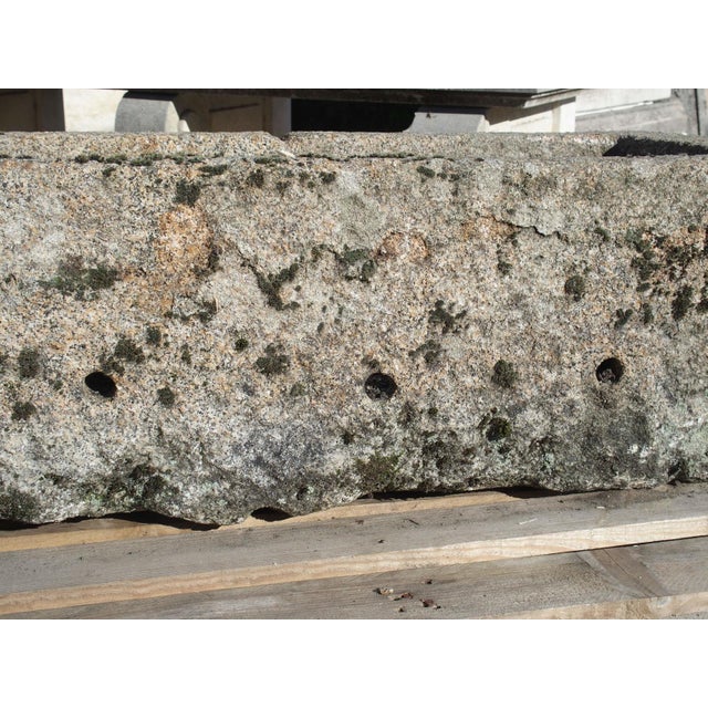 Antique Carved Granite Farm Trough From Normandy, France, 19th Century For Sale In Dallas - Image 6 of 12