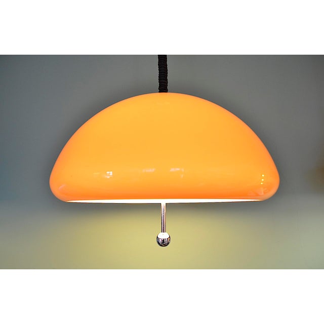 Cabras Pendant Lamp by Luigi Massoni for Guzzini, 1960s For Sale - Image 3 of 6