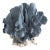Natural Blue Coral Specimen Coastal Decor For Sale
