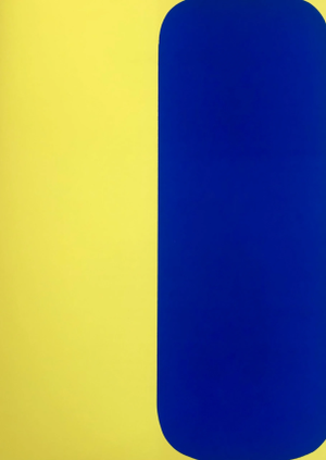 1964 Ellsworth Kelly Original Lithograph Derriere Le Miroir Dm06149