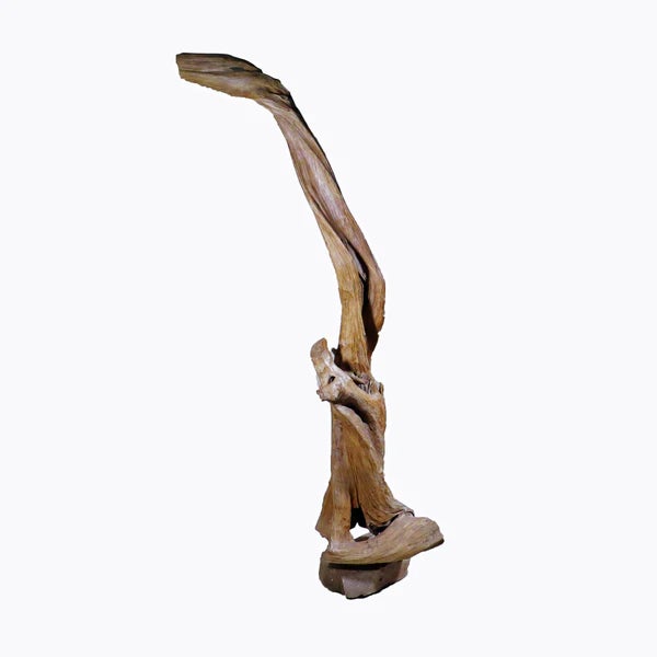 Organic Floor Teak Root Sculpture 1 For Sale - Image 4 of 5