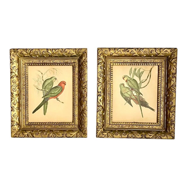 Early 20th Century Framed J. Gould Bird Prints in Ornate Gilt Frames - a Pair For Sale