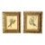 Early 20th Century Framed J. Gould Bird Prints in Ornate Gilt Frames - a Pair For Sale