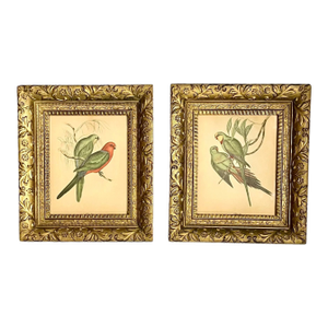 Early 20th Century Framed J. Gould Bird Prints in Ornate Gilt Frames - a Pair