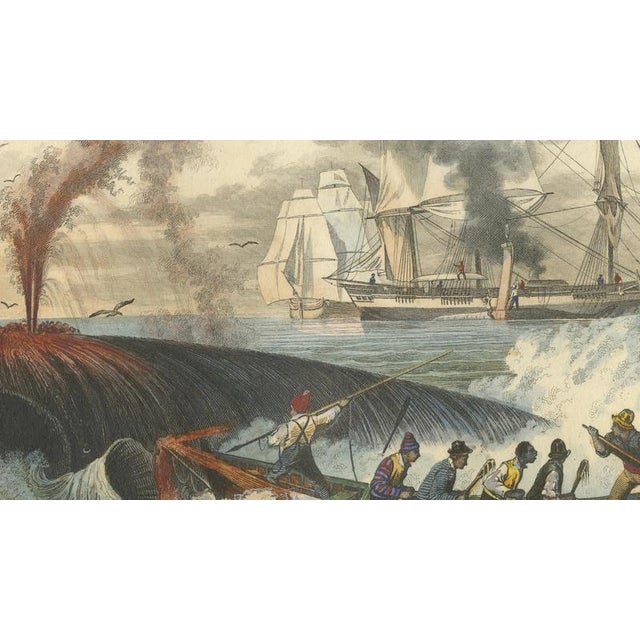 After Édouard Traviès, Whale Hunt, 1840, Hand-Colored Engraving For Sale - Image 8 of 9