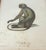 Set of 4 Hand-Colored French Primate Engravings by Jean-Baptiste Audebert For Sale - Image 4 of 18