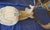 Leucistic Fallow Deer Head Bust Mount For Sale - Image 18 of 18