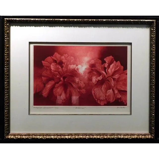 Vintage GH Rothe "Hibiscus" Flower Original Hand Signed Color Mezzotint Etching For Sale In Denver - Image 6 of 6
