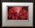 Vintage GH Rothe "Hibiscus" Flower Original Hand Signed Color Mezzotint Etching For Sale In Denver - Image 6 of 6