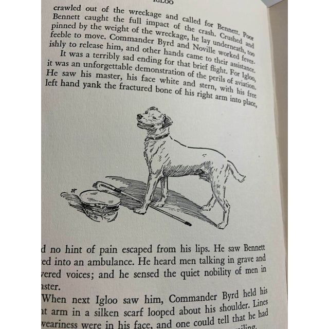 1931 Vintage Igloo Dog Book For Sale - Image 11 of 13